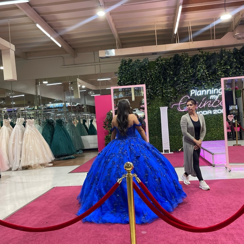 Elegant Blue Gown - Picture 2 of 3